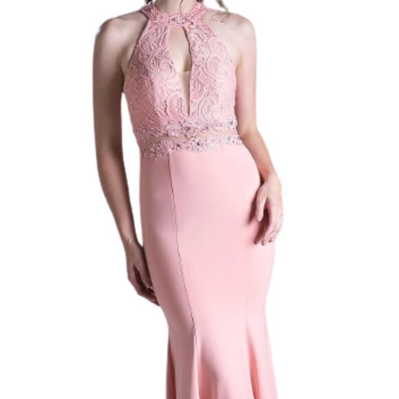 NWT Ladivine CF102 Sheer Prom Dress Blush Size XS - Picture 1 of 7